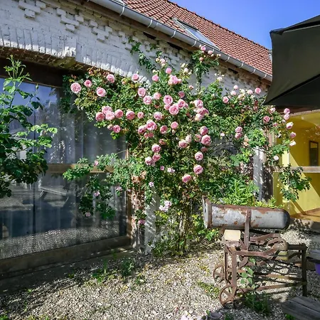 Au Dormeur Du Val D'authie Maintenay