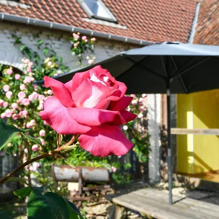 Casa de Férias Au Dormeur Du Val D'authie *